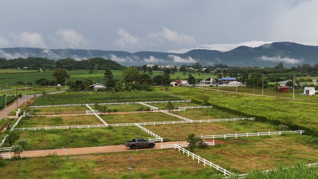 🌿 MONTERRA KHAO YAI 🔥ลด 100,000 บาท มี 4 แปลงเท่านั้น
